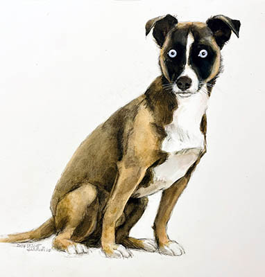 Bennie